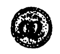 Marchio ceramica manifattura Faenza (monogramma Manfredi Signore di Faenza), artista anonimo, Faenza, XV-XVI