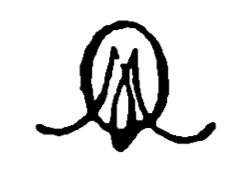 Marchio ceramica manifattura Parigi (attribuita ad Outrequin de Montarey), Outrequin de Montarey (fabbricante porcellana Parigi fine XVIII), Parigi, XVIII